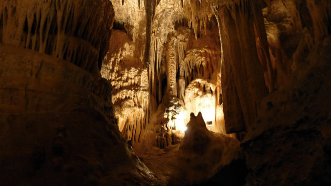 19313476412_62ef4d0966_b