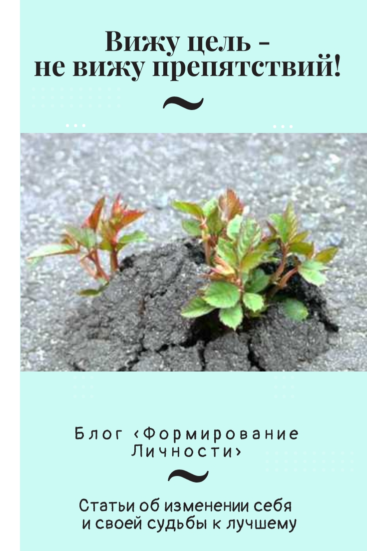 vizhu-tsel-ne-vizhu-prepyatstvij-1-blog-formirovanie-lichnosti