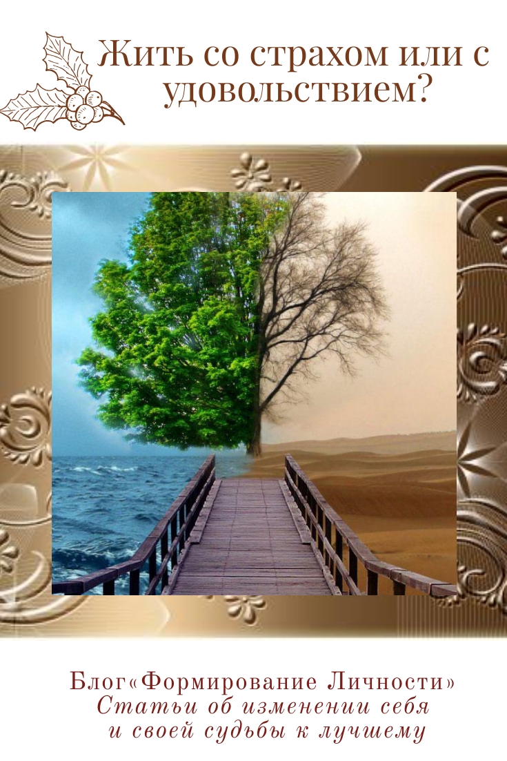 git-so-strahom-ili-s-udovolstviem-blog-formrovanie-lichnosti