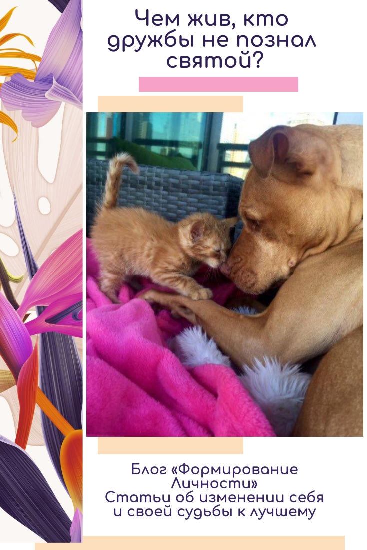 chem-zhiv-kto-druzhby-ne-poznal-svyatoj-blog-formirovanie-lichnosti