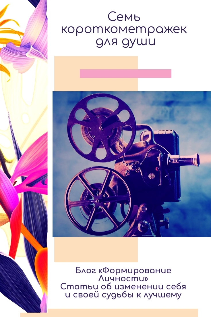 7-korotkometrazhek-dlya-dushi-blog-formirovanie-lichnosti